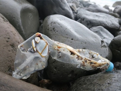 證明“海洋塑料”，需要遵循哪些標準？