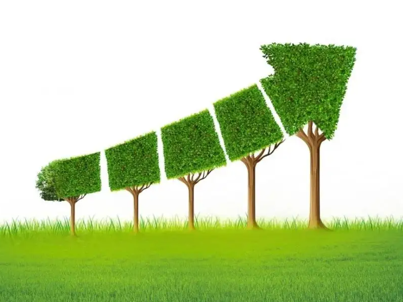 碳邊境調節(jié)機制