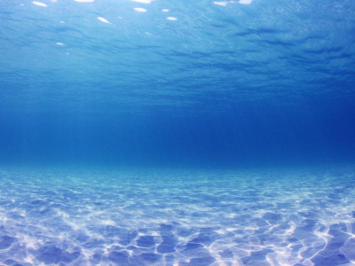 全球“限塑令”真的要來了！聯(lián)合國環(huán)境大會通過“限塑令”草案