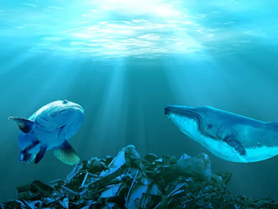 巴斯夫、SABIC、埃萬特多舉措助力海洋塑料回收再利用